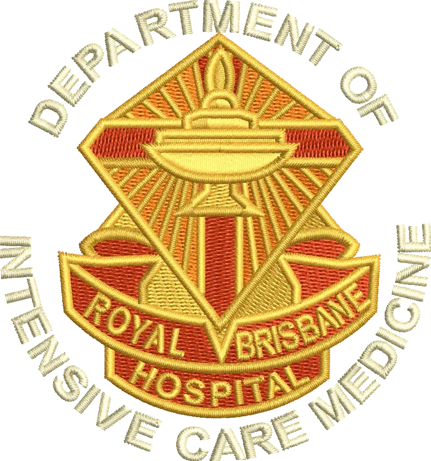 Royal Brisbane Hospital Logo on File